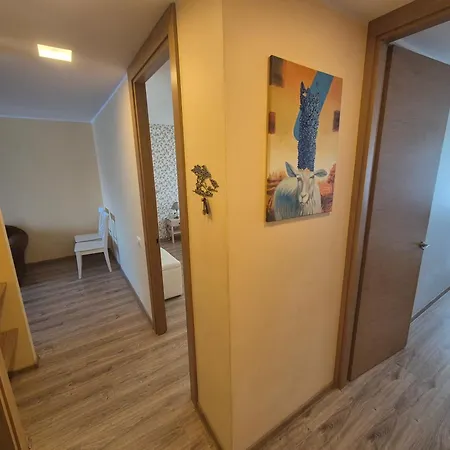 Ciurlionis Apartament
